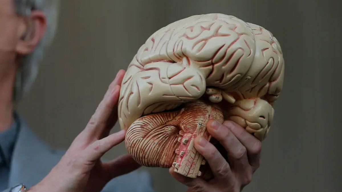 ''Yakında insan beyni hacklenebilecek''