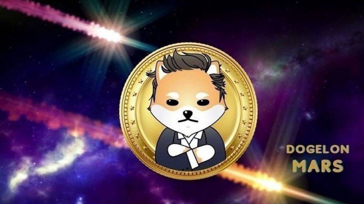 Elon Musk’tan ilham alan token ralli yaptı