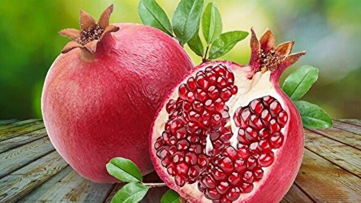 Narı tuzlayarak yerseniz...