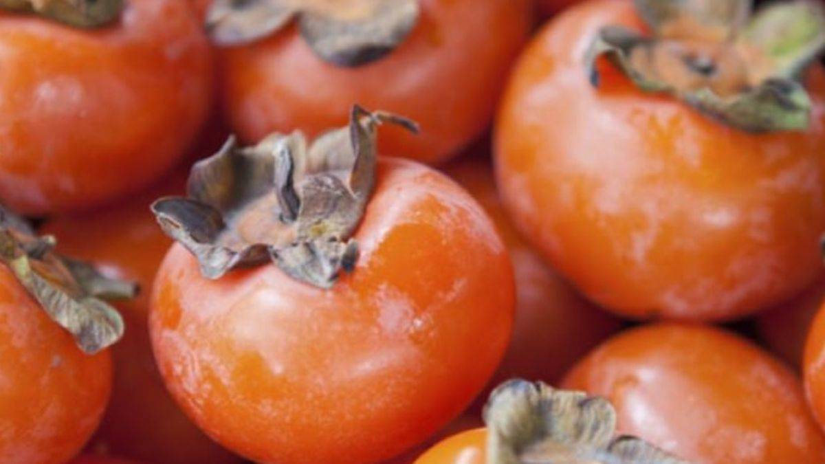 Cennet hurması reçeli nasıl yapılır?