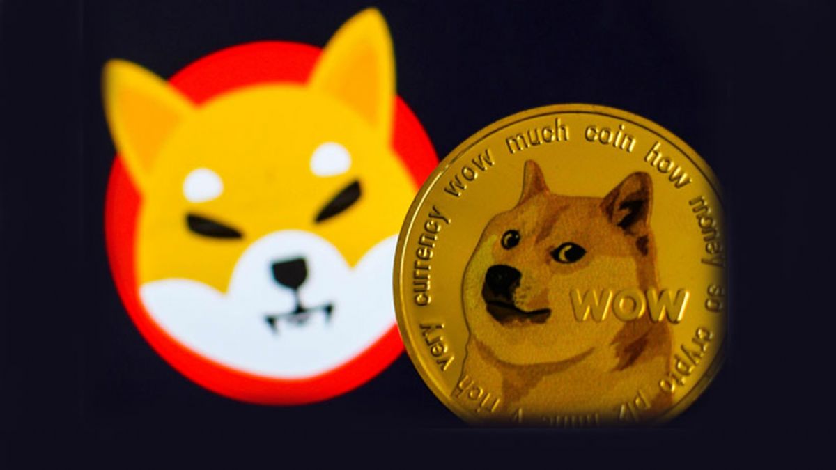 Köpek isimli kripto paralarda büyük rekabet