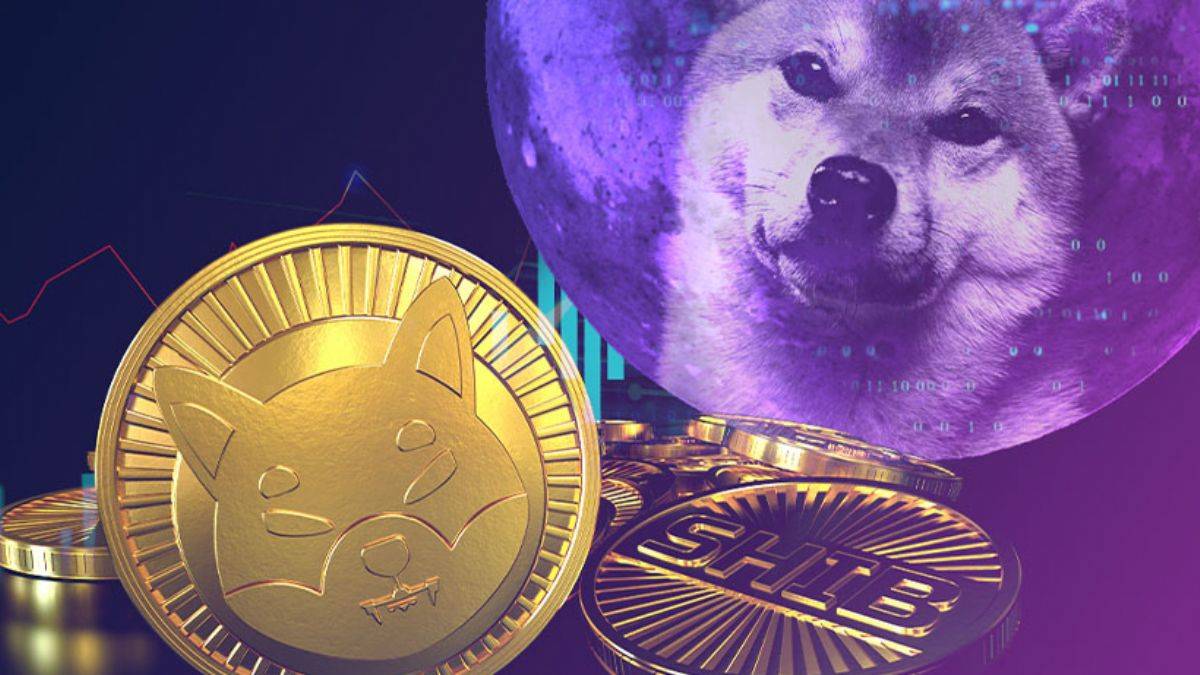 Kripto para piyasasında yeni Shiba Inu vakası