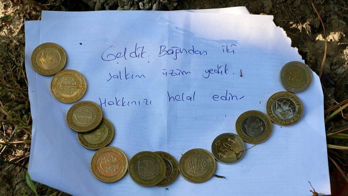 İzinsiz yediği üzüm için not bıraktı