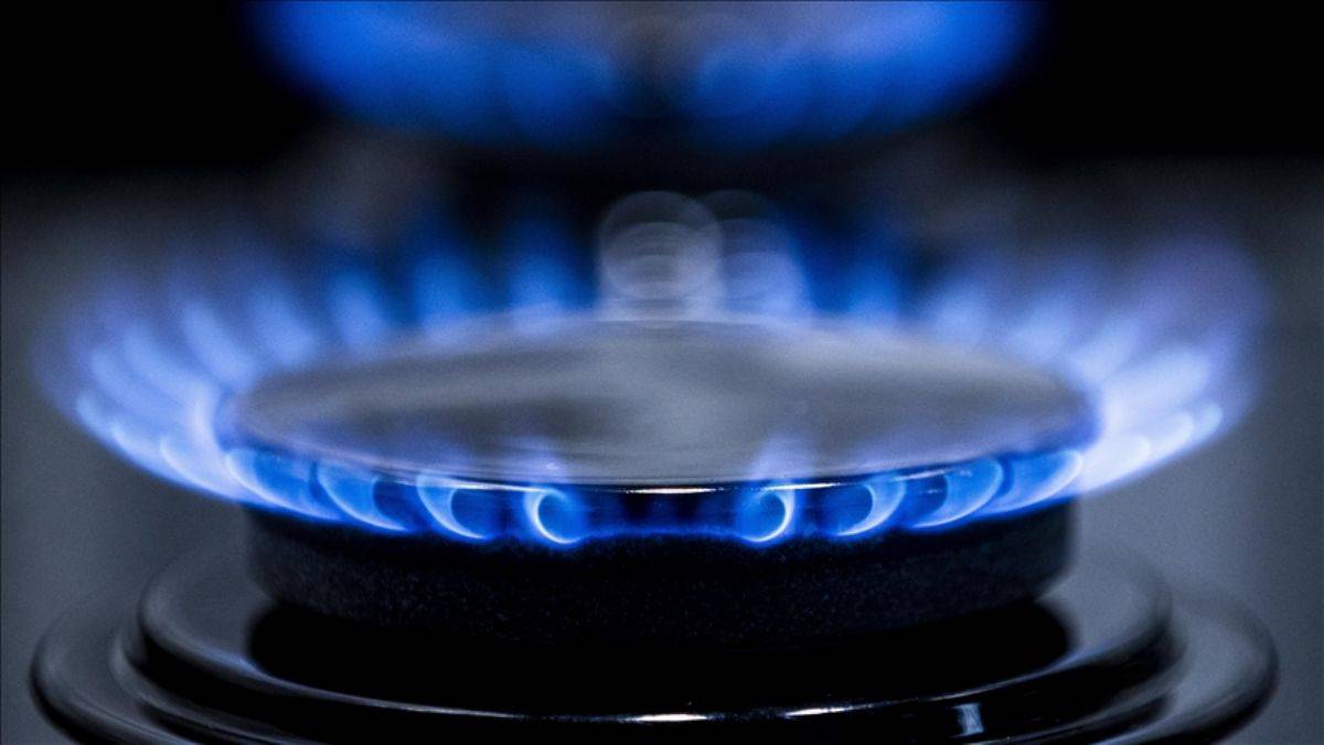 Şirketler doğalgaz zammına ne diyor?