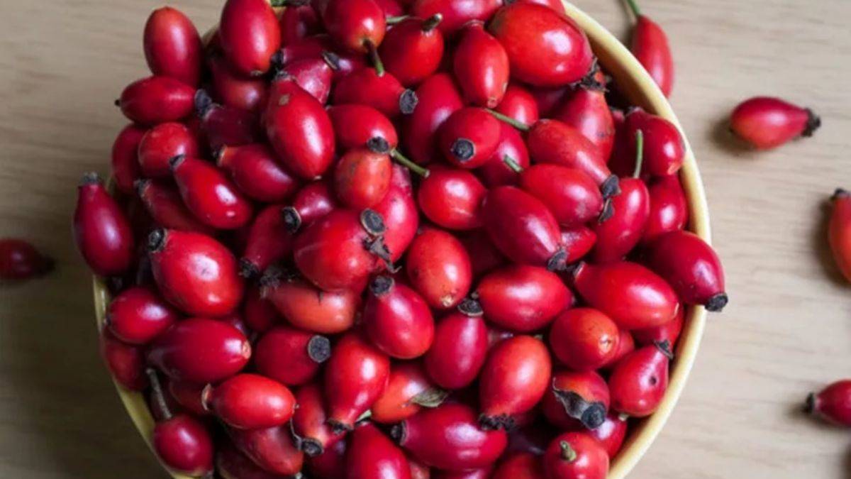 Kuşburnu çayını fazla tüketirseniz...