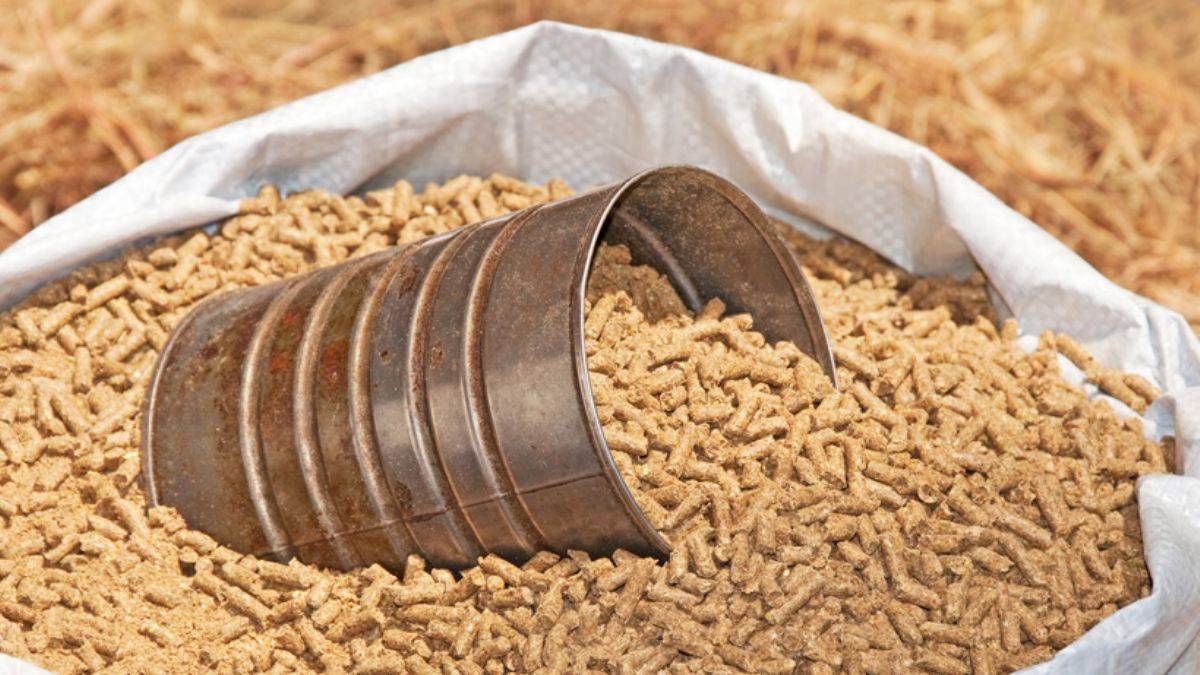 ''Yem fiyatındaki artışa müdahale edilmeli''