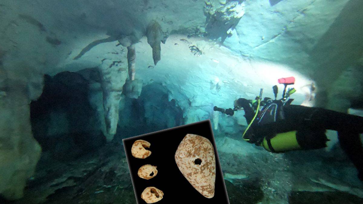 Bilim dünyası şaşkına döndü