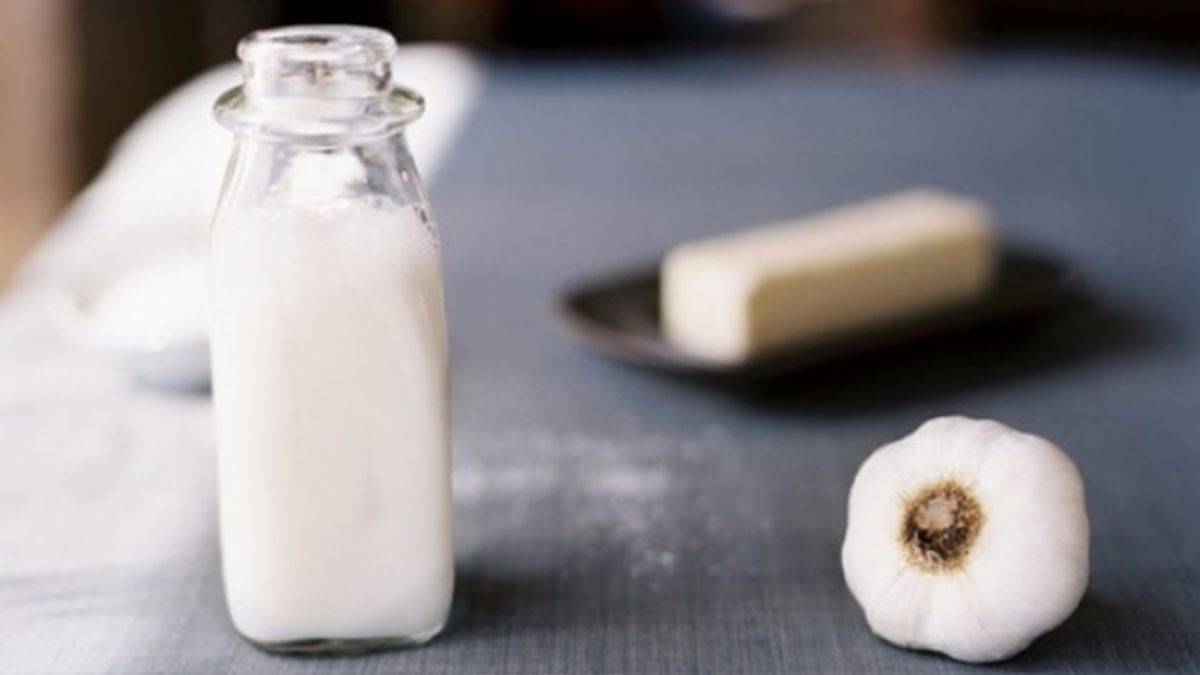 Sarımsak sütünü duymuş muydunuz?