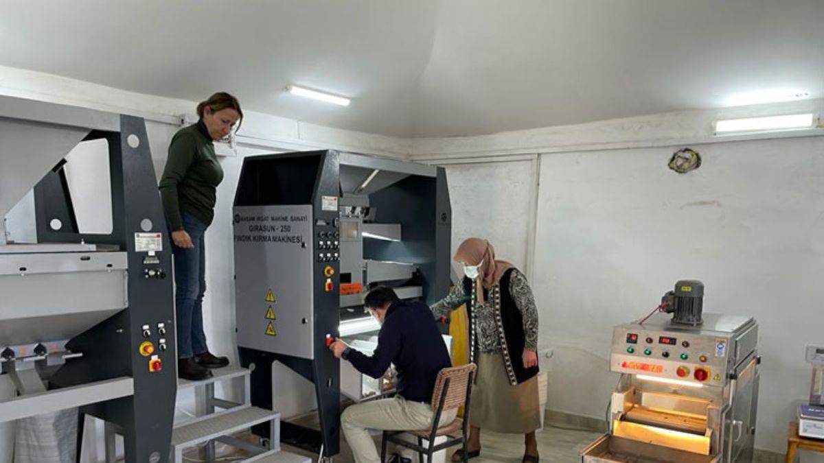 69 yaşındaki Azime Anne köyünde fındık işleme tesisi kurdu