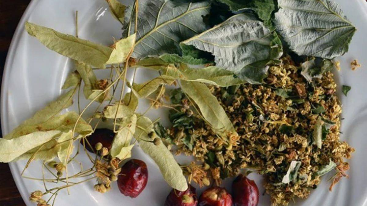 Tilya kürü bir ayda sekiz kilo verdiriyor!