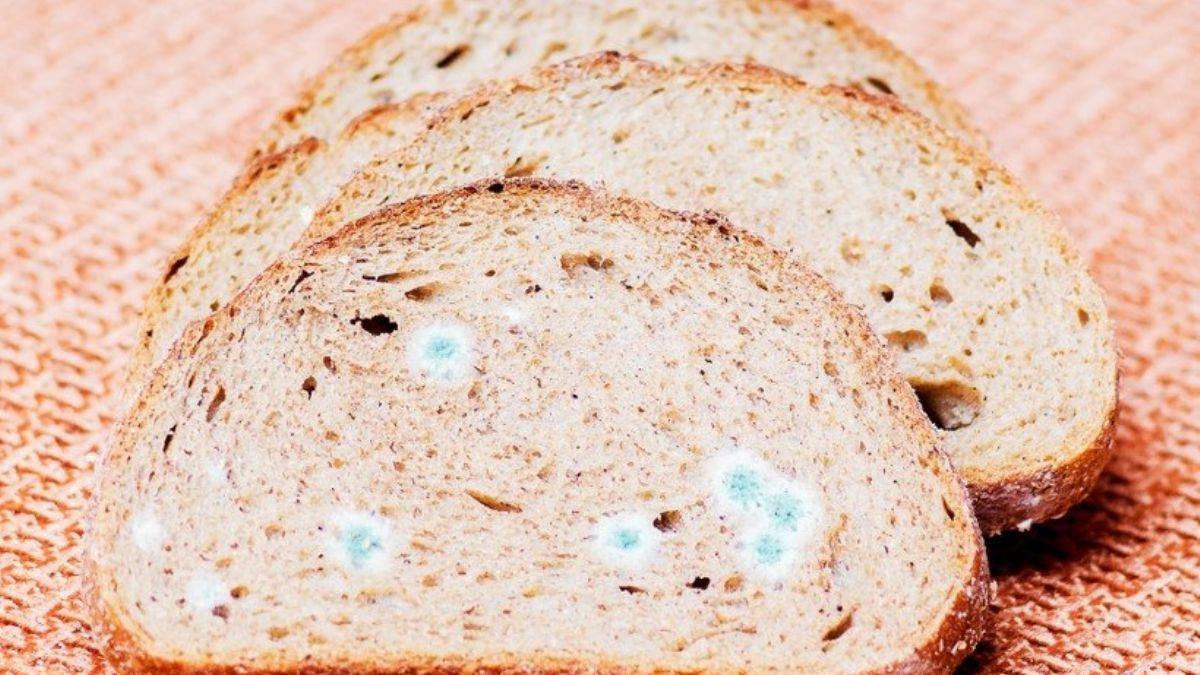 Ekmeklerin küflenmemesi için...