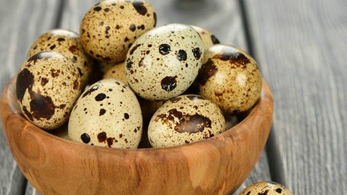 İştahsız çocuklara bıldırcın yumurtası yedirin