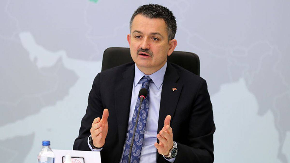 Bakan Pakdemirli'den balıkçılara müjde: Ödemeleri yarın yapacağız