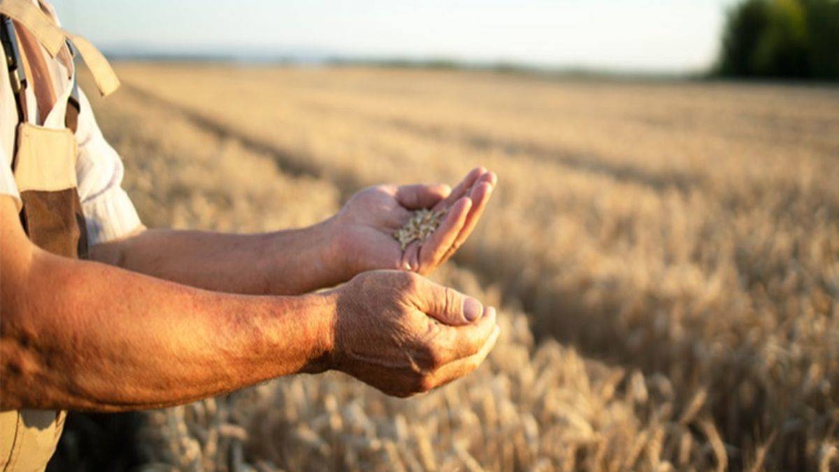Tarım sigortasının amaç ve kapsamı