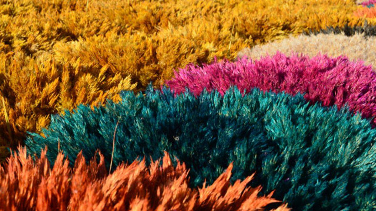 Deneme amaçlı başlayan Ayşe öğretmen, 100 kadın işçiyle ihracatta