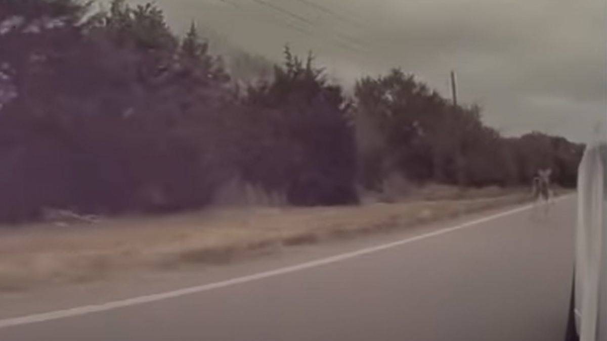 Tesla, otonom sistemi sayesinde kazadan böyle kurtuldu