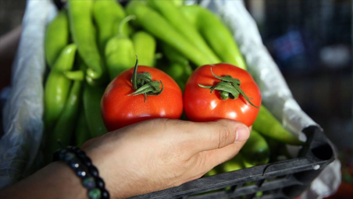 En çok ihracat yapan sektörler/ürünler açıklandı: 15,9 milyar dolar ihracat