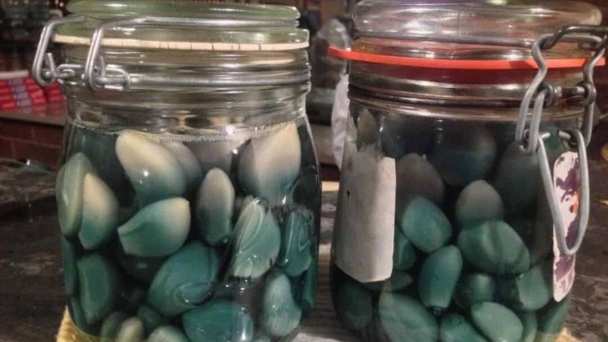 Turşunun içindeki sarımsak neden yeşilleniyor?