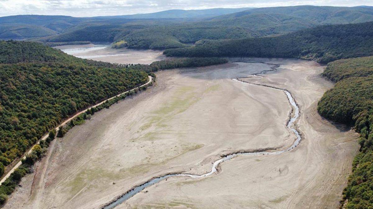 Trakya'da tedirgin eden görüntü!