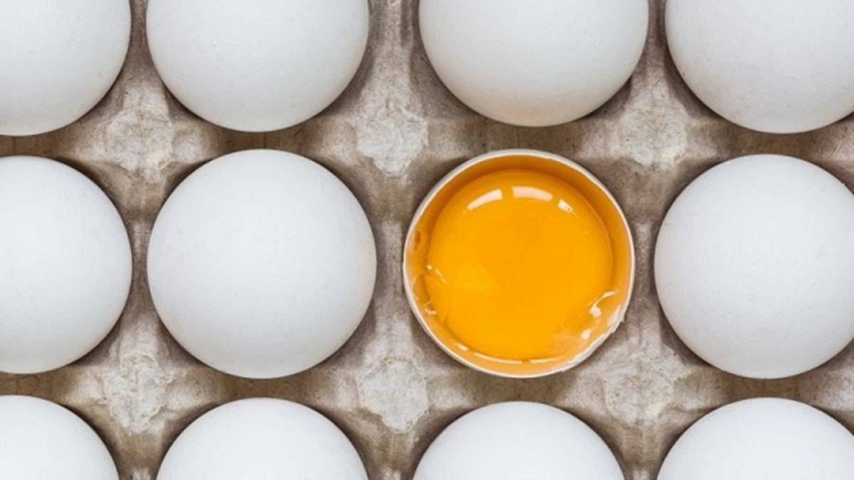 Çiğ yumurta içmek gerçekten yararlı mı?