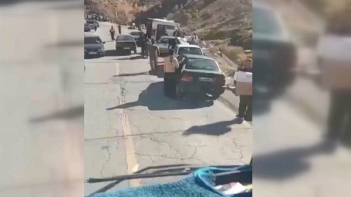 Tavuk ürünleri yüklü Türk tırı İran'da yağmalandı