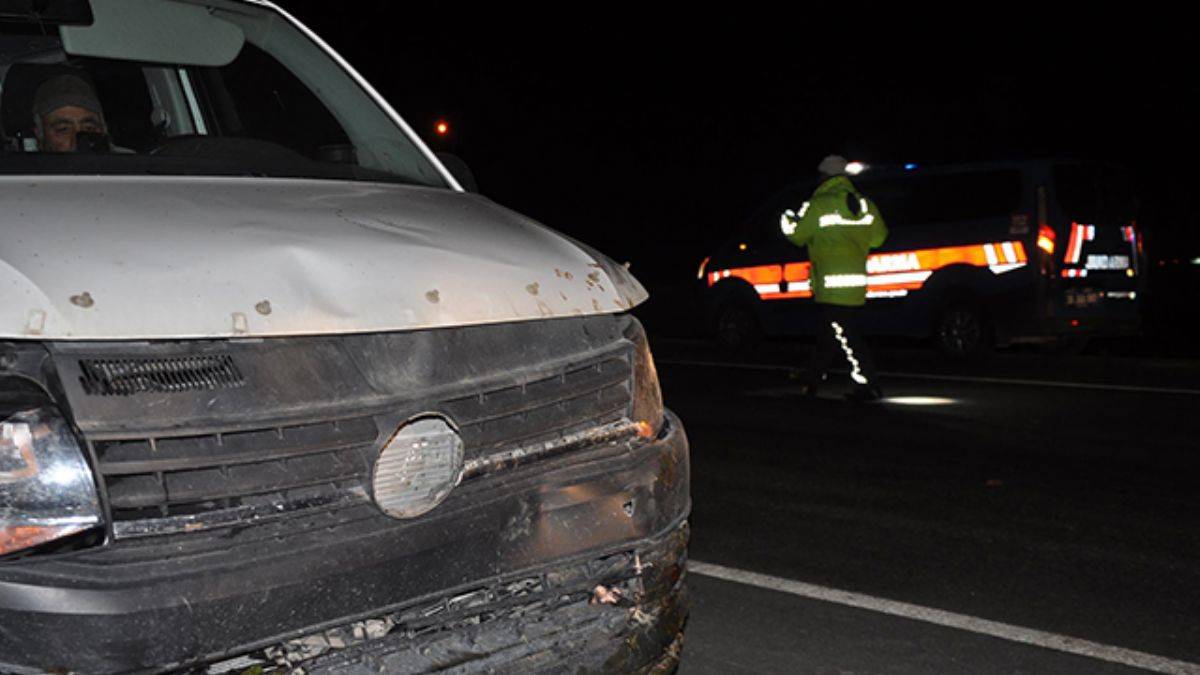 Minibüs koyun sürüsüne daldı; 34 koyun öldü