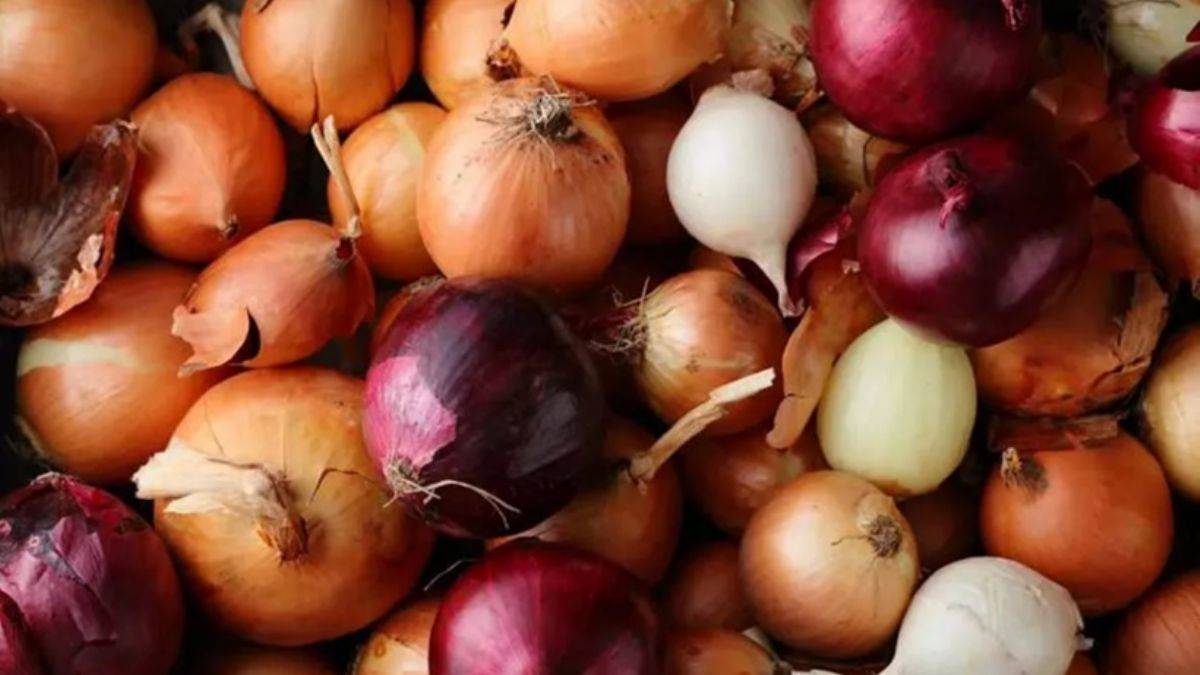 Hangi soğan hangi yemekte kullanılmalı?