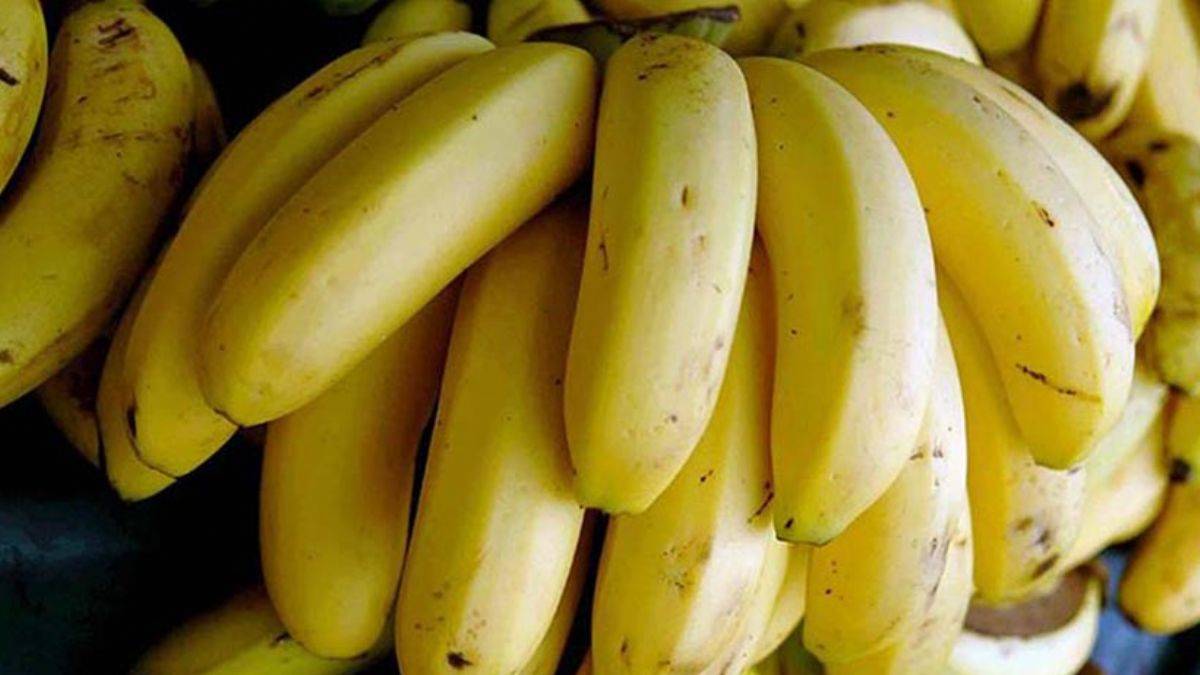 İnsan DNA'sına benzerliği bilim dünyasında konuşuluyor