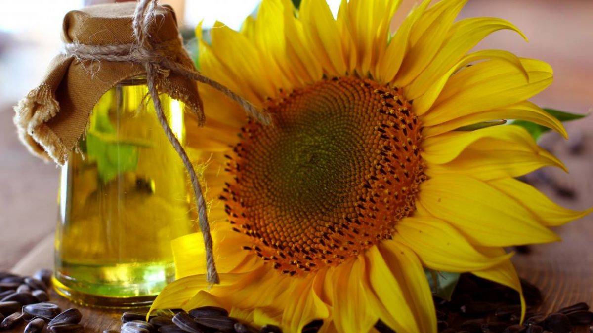 Ayçiçek yağına zam mı geldi? 5 lt ayçiçek yağı ne kadar oldu? 5 litre ayçiçek yağı kaç lira?