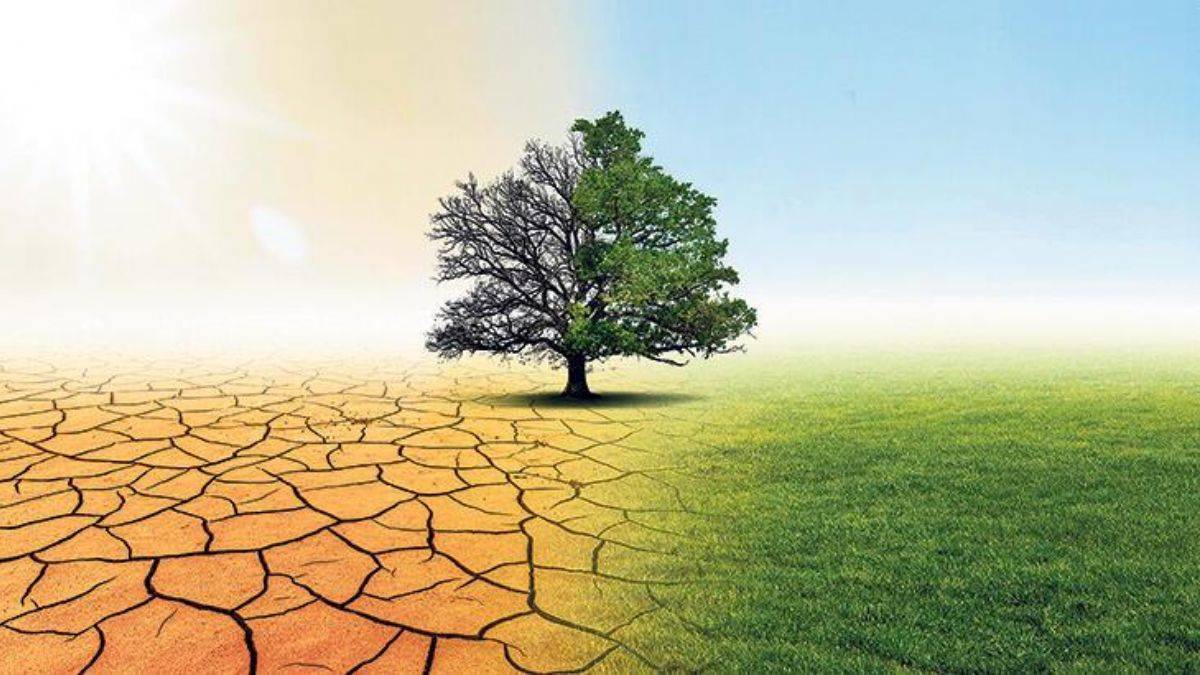 İlk kez görüldü… İklim değişikliği: Ölüm nedeni