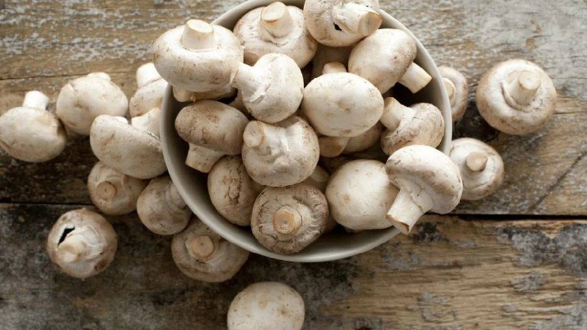 Mantarı yıkamadan tüketin!