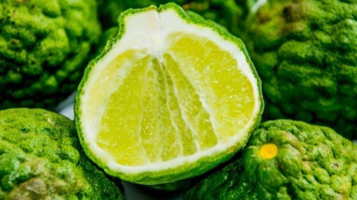 Asabi olmaktan şikayetçiyseniz bergamot tüketin