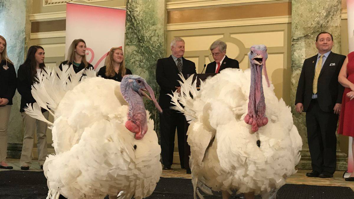 Hindi fiyatları 70 yıllık geleneği iptal ettirdi