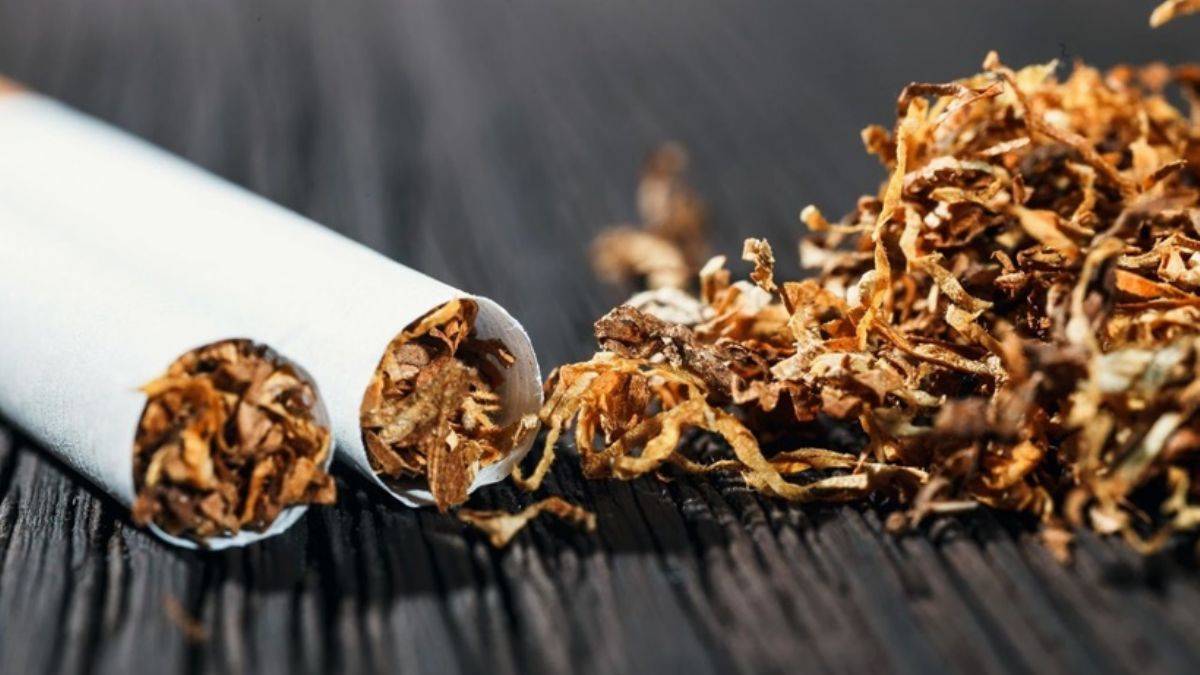 Vücudunuzdaki nikotini temizlemek için...