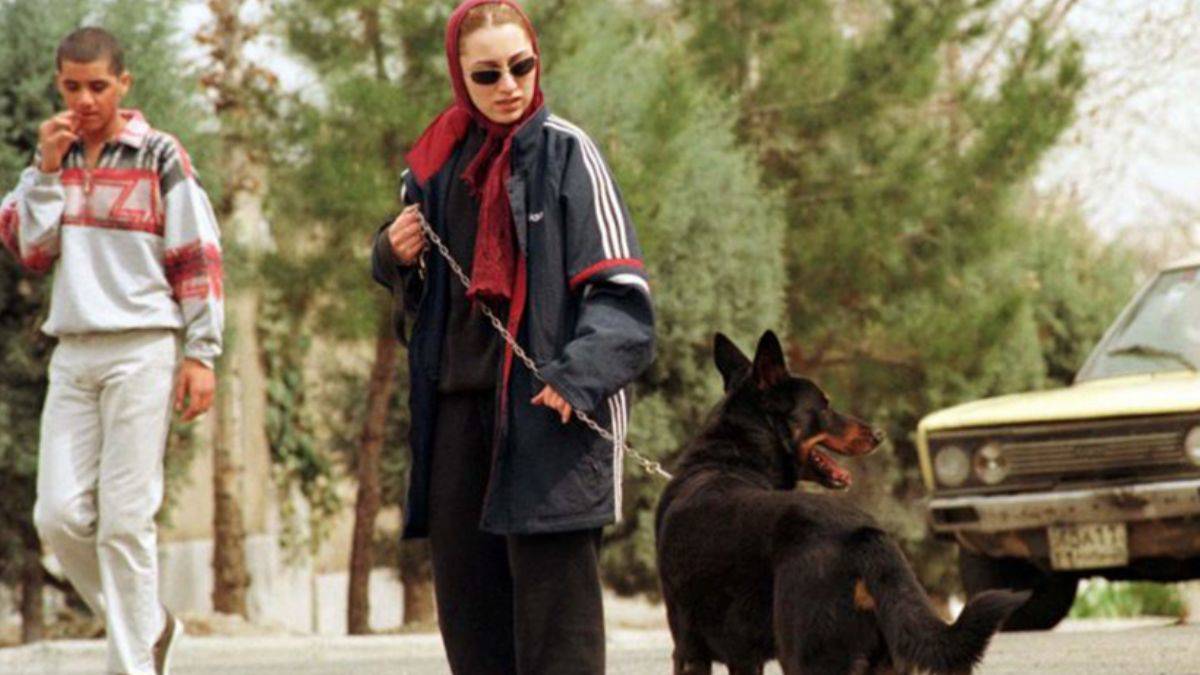 İran, evcil hayvan beslemeyi suç sayan yasa çıkarıyor