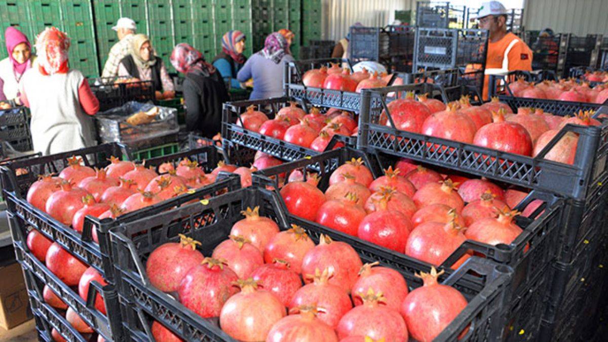 Rusya, nar ve biber ithalatını durdurdu