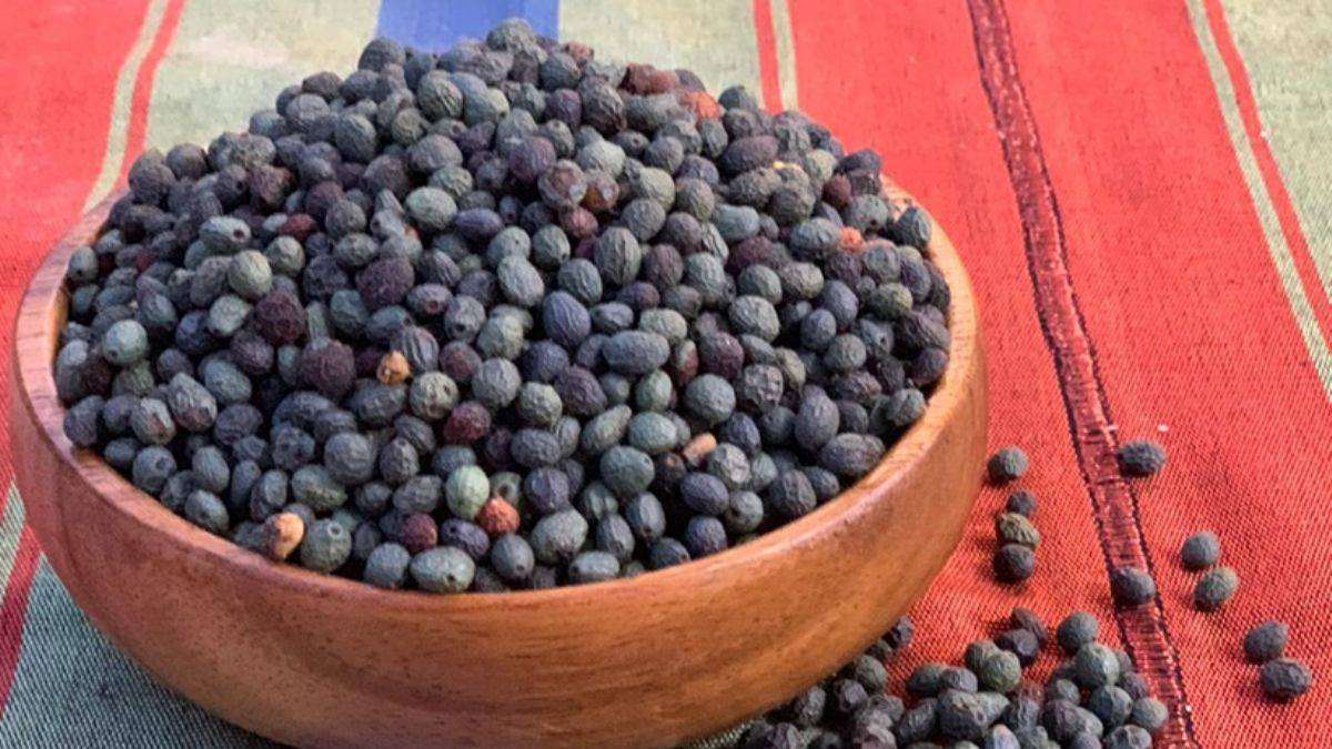 Çitlembiği biliyor musunuz?