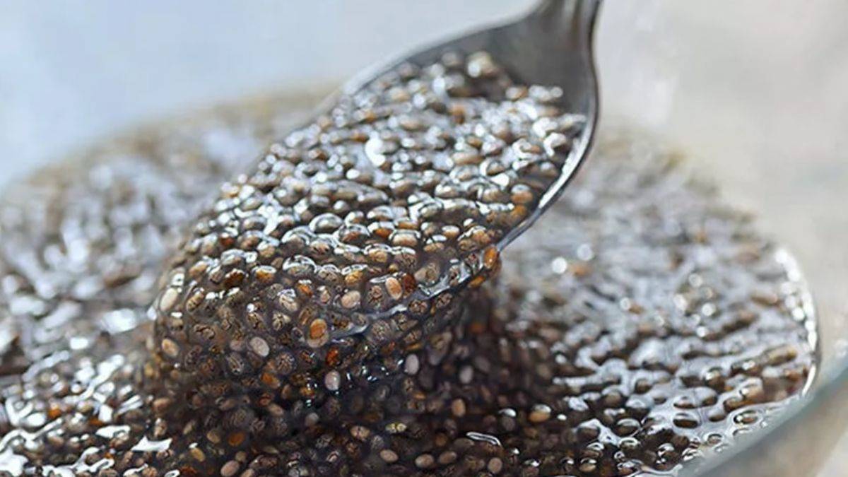 Chia tohumu kanserli hücre oluşumunu önlüyor