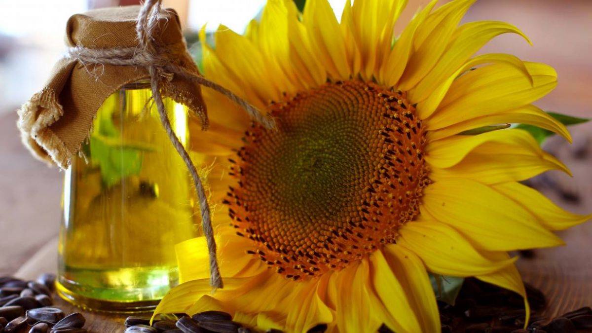 Ayçiçek yağına zam mı gelecek? Ayçiçek yağı fiyatı artacak mı? 5 litre ayçiçek yağı ne kadar?