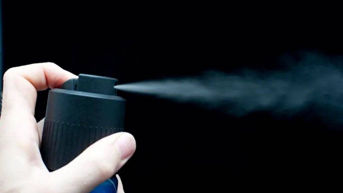 Doğal oda kokusu nasıl hazırlanır?