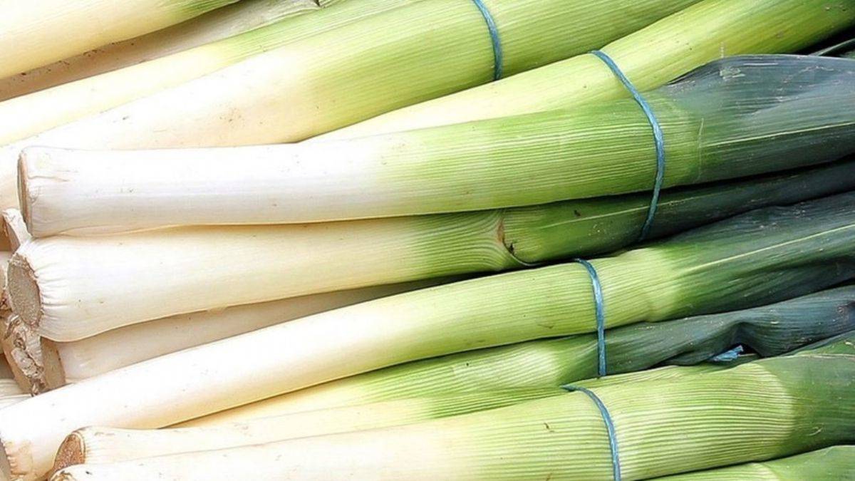 Pırasa gözlere sağlık kazandırıyor