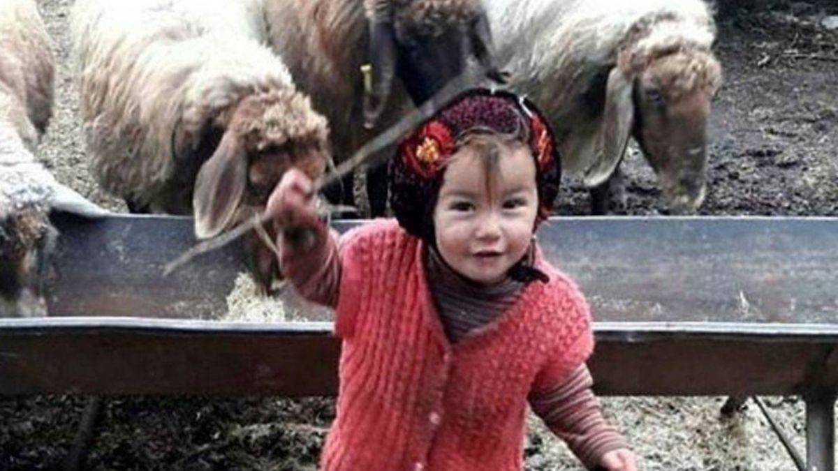 Müslüme'nin kardeşleri ve annesi koruma altına alındı