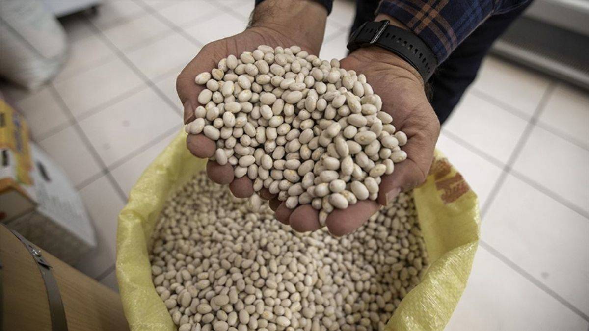 Rakipsiz tadıyla İspir ve Hınıs fasulyeleri kapışılıyor