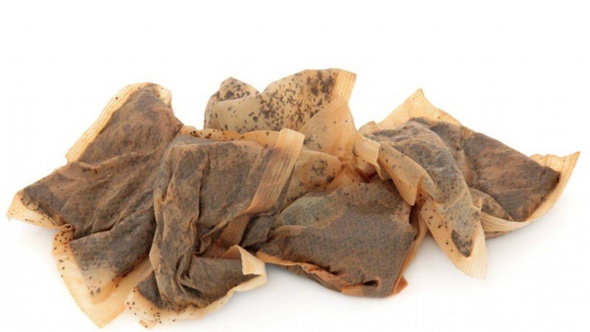 Kullandığınız çay poşetlerini çöpe atmayın! Çünkü...