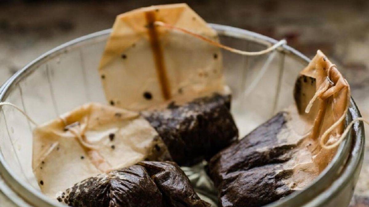 Çay poşetlerinden bitki gübresi nasıl hazırlanır?