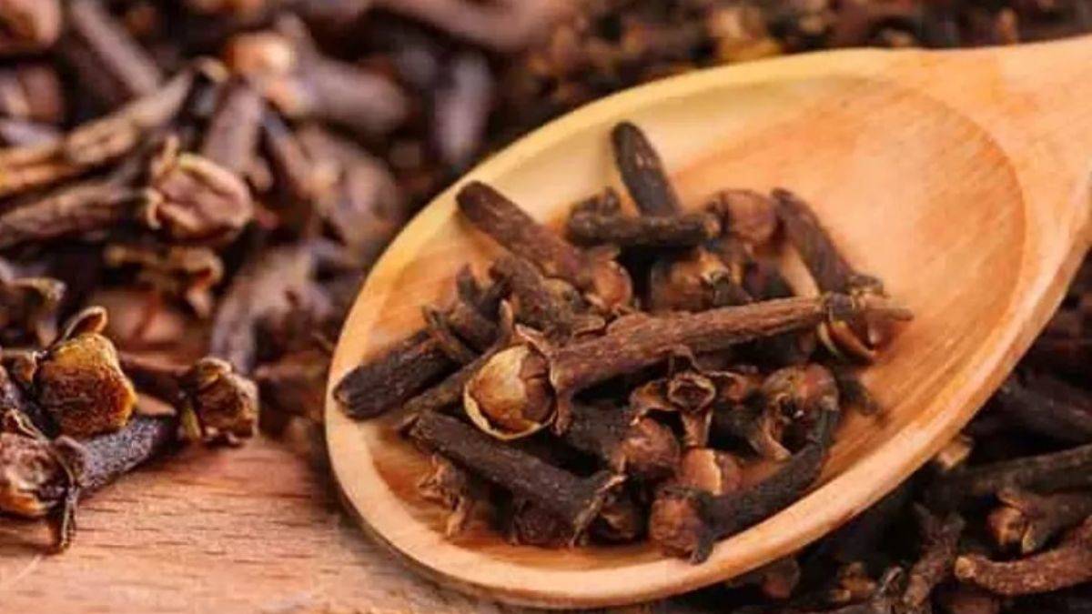 Sınavlara hazırlanırken ağzınıza bir karanfil atın! Çünkü...