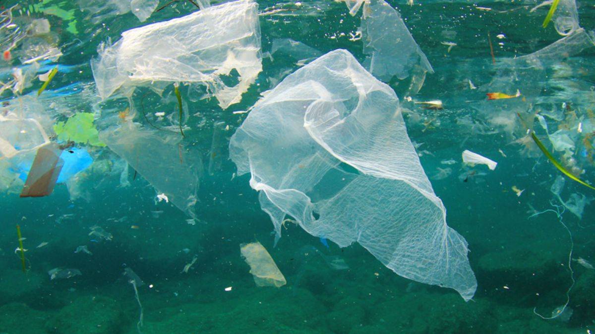 Okyanusları kurtarmak için ABD'ye çağrı!