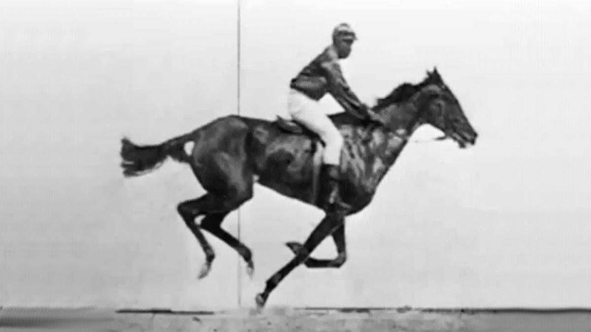 Sinemanın doğuşu; ilk fikirler, ilk tepkiler