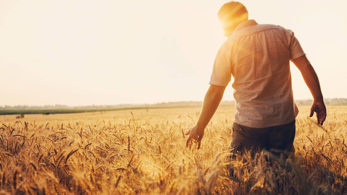 Çiftçi kuraklık desteği ne kadar? Kuraklık ödemesi ne zaman yapılacak? Kuraklık ödemesi kimlere yapılacak?