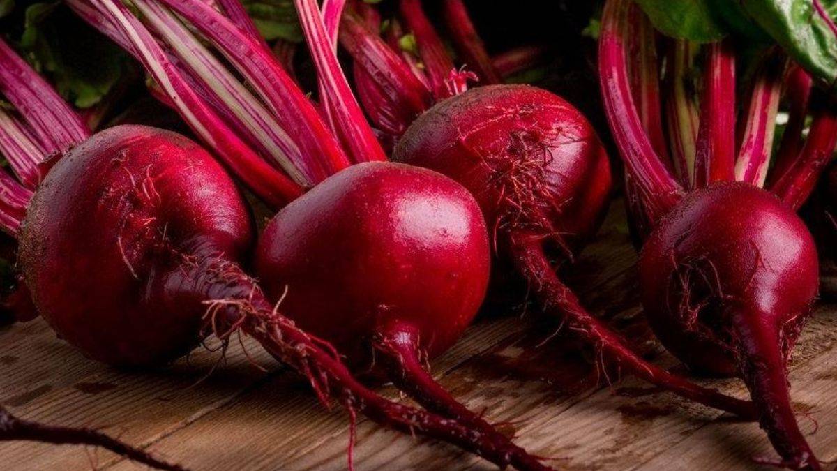 Pancar vücudu zehirli maddelerden temizliyor